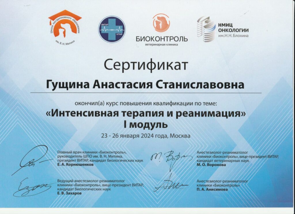 Диплом Гущина Анастасия Станиславовна