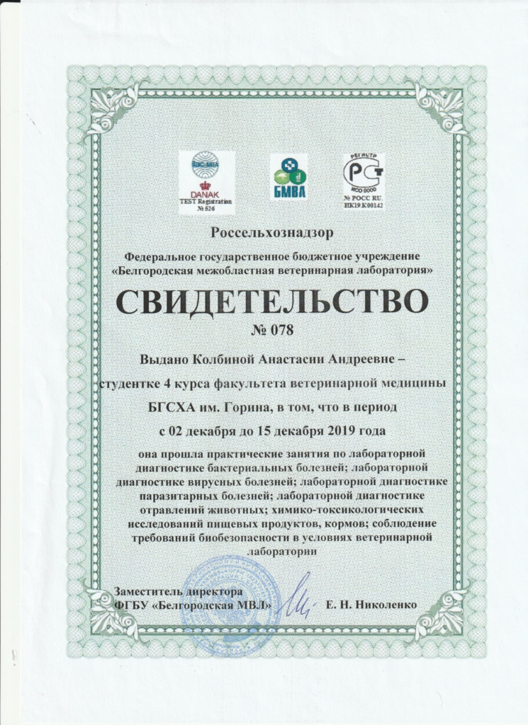 Диплом Колбина Анастасия Андреевна