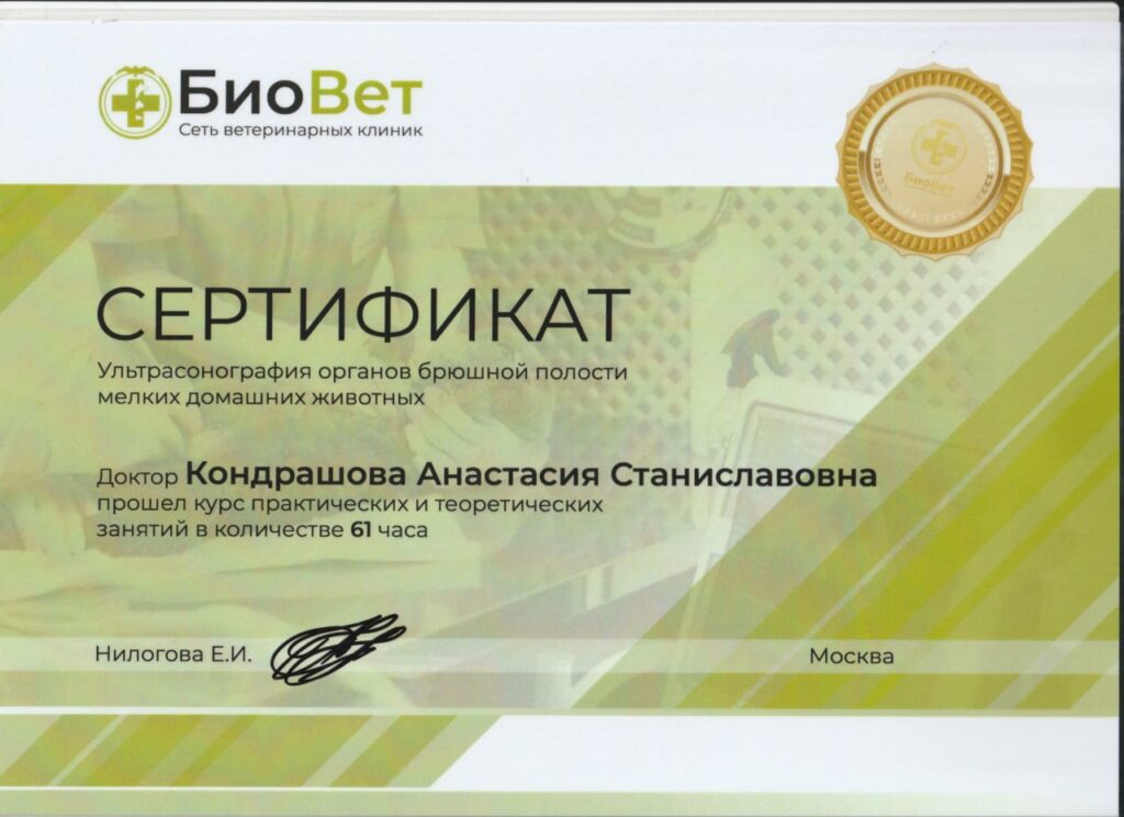 Диплом Гущина Анастасия Станиславовна