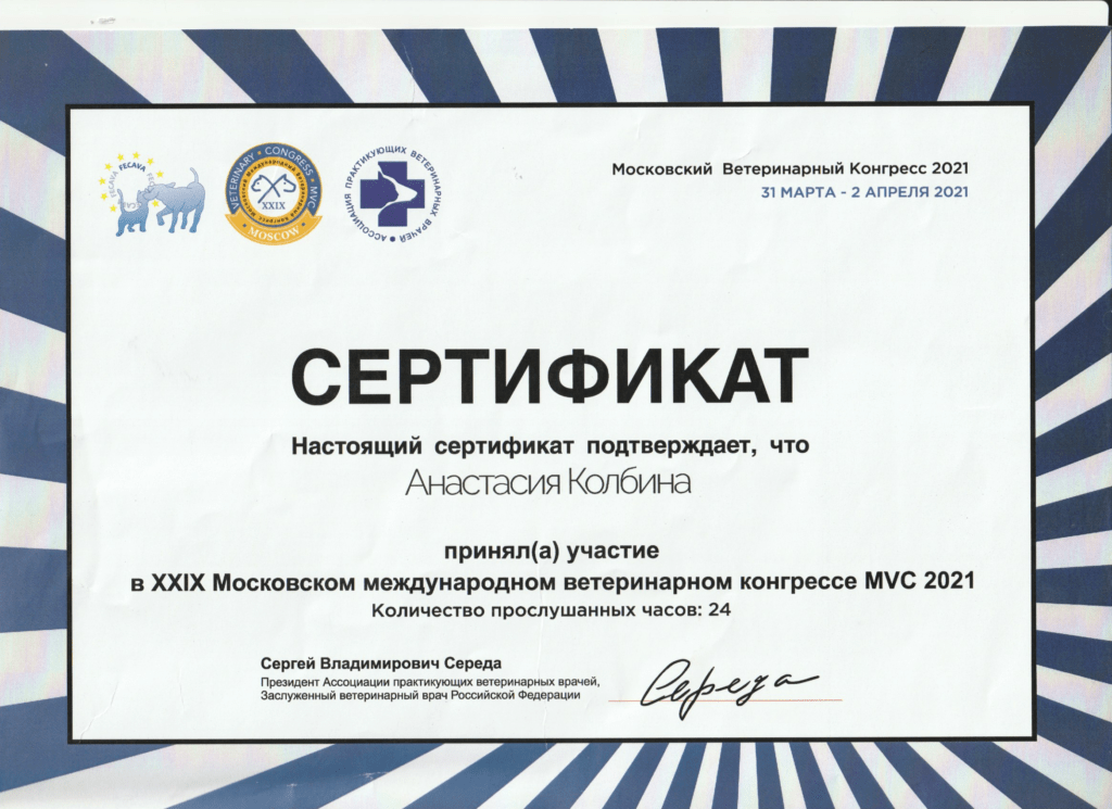 Диплом Колбина Анастасия Андреевна