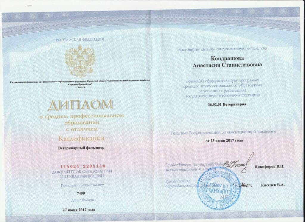 Диплом Гущина Анастасия Станиславовна