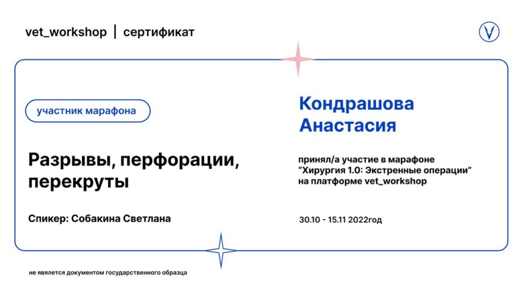 Диплом Гущина Анастасия Станиславовна