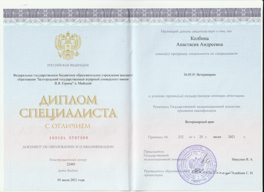 Диплом Колбина Анастасия Андреевна
