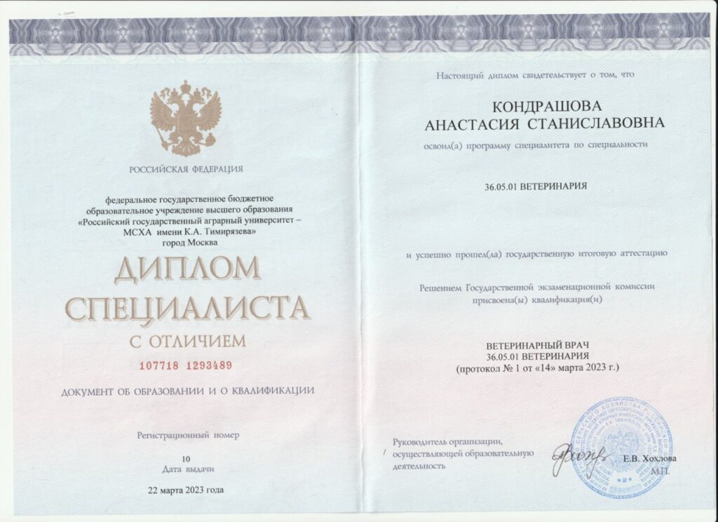 Диплом Гущина Анастасия Станиславовна