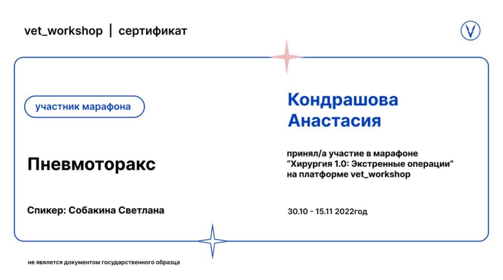 Диплом Гущина Анастасия Станиславовна