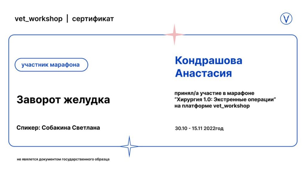 Диплом Гущина Анастасия Станиславовна