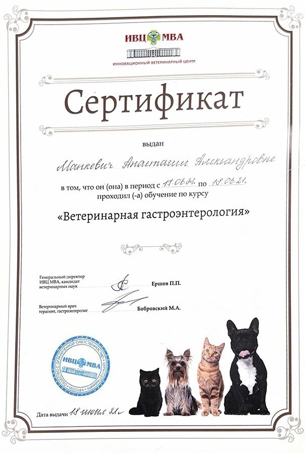 Диплом Манкевич Анастасия Александровна