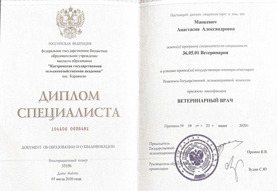 Диплом Манкевич Анастасия Александровна