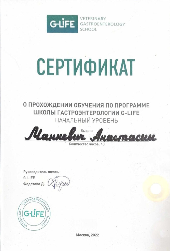 Диплом Манкевич Анастасия Александровна