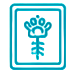 Рентгенография